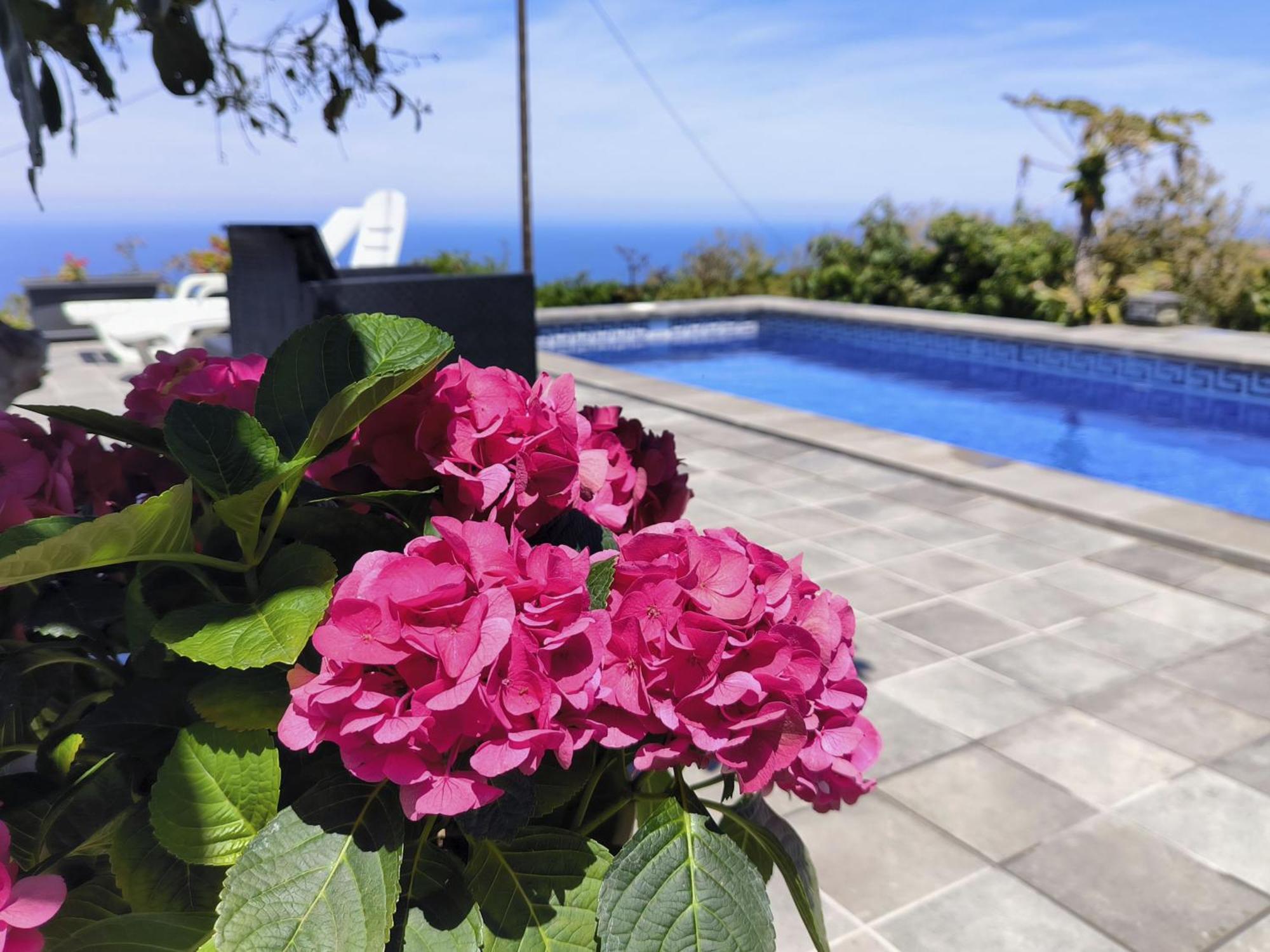 Apartamentos Guayonje Costa Santa Cruz de Tenerife Exterior photo
